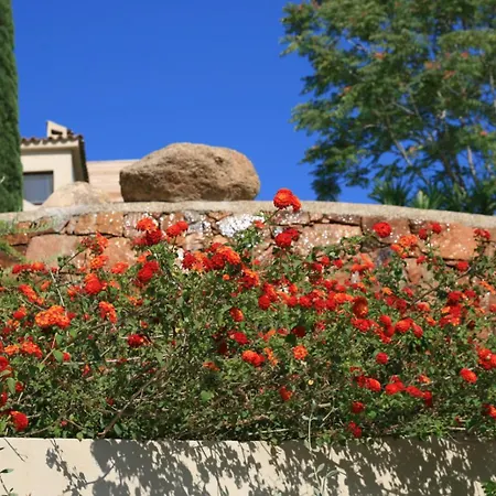 Chambre Mustang Vue Mer Casaeva Gasthof *